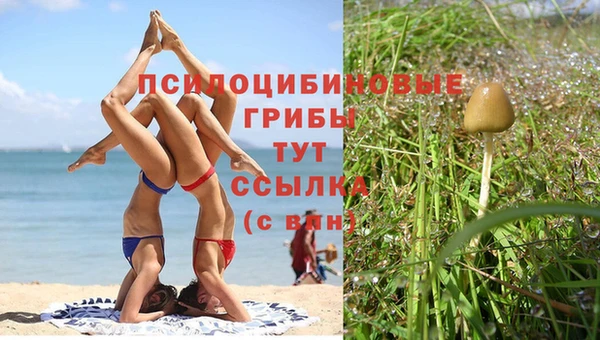 2c-b Абаза